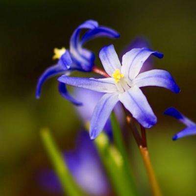 中国银行、工商银行、建设银行、农业银行、民生银行最新公告