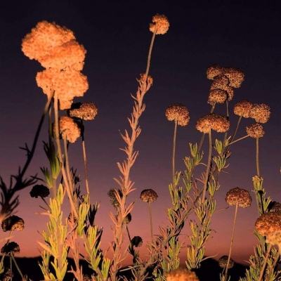 兰州农商行前员工诈骗34人贷款逾540万元，银行是否担责引关注